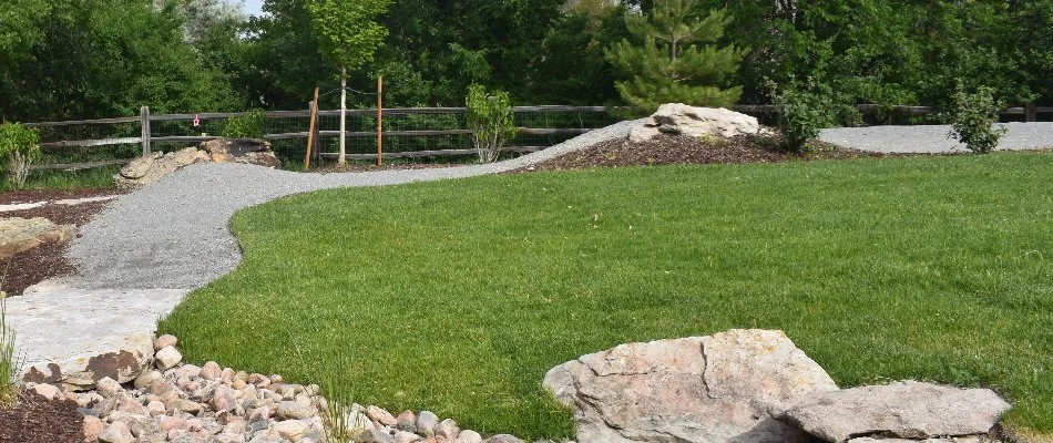 Dense and vibrant lawn in Centennial, CO, with landscaping around.