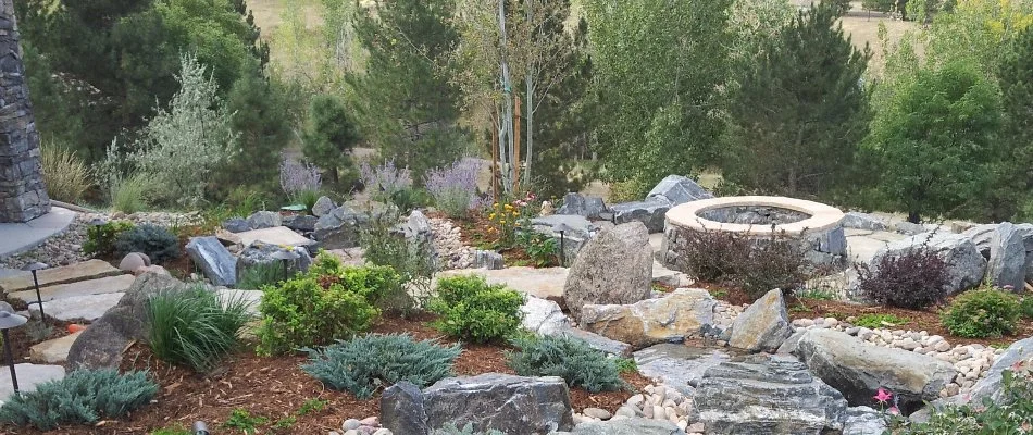 Fire pit in Lakewood, CO, surrounded by landscape plants and rocks.