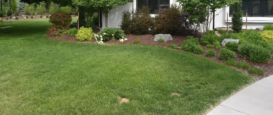 Green, healthy lawn on a property in Littleton, CO.
