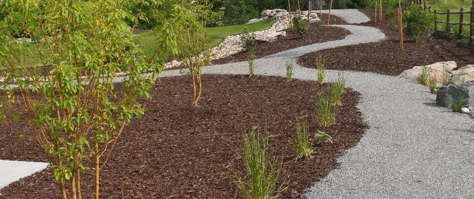 Mulch on landscaping along a walkway in Denver, CO.