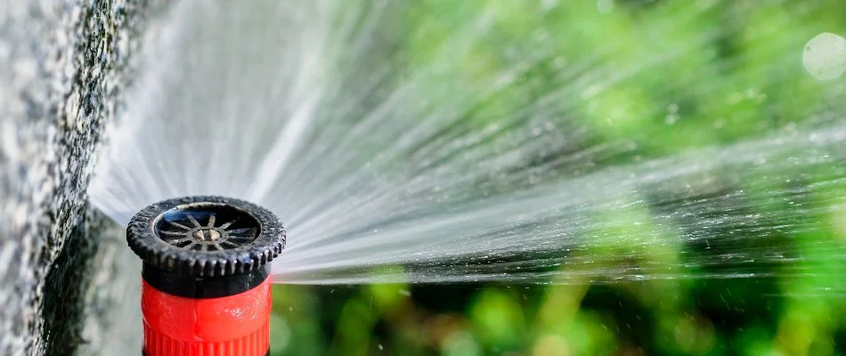 Irrigation sprinkler head in Lakewood, CO, releasing water.