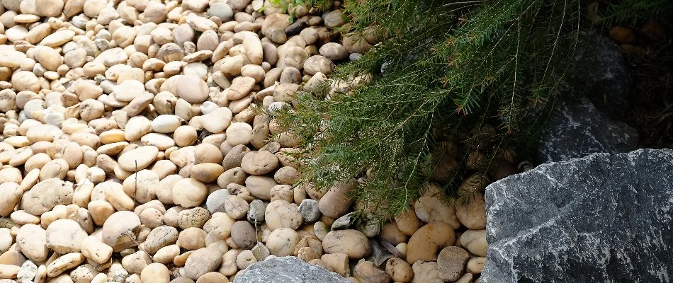 Tan river rock near plant foliage in Denver, CO.