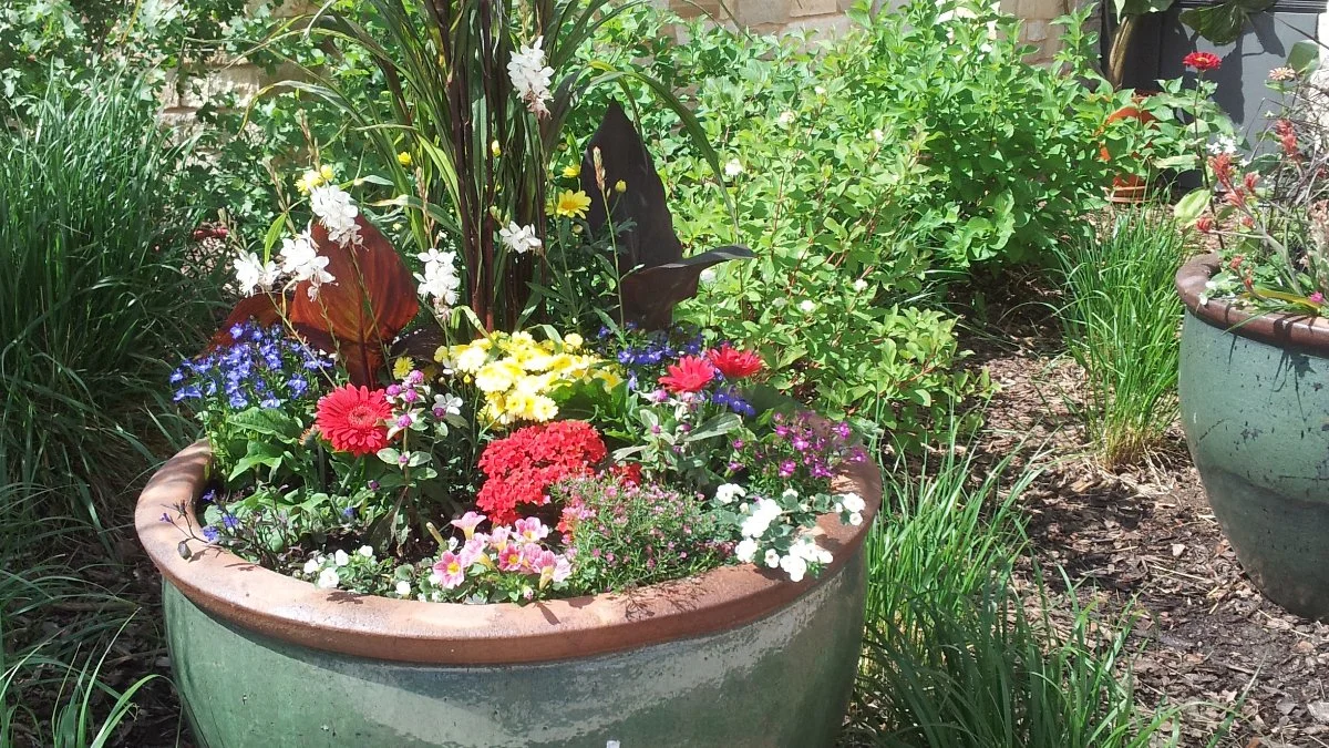 Tree and shrub care in Edgewater