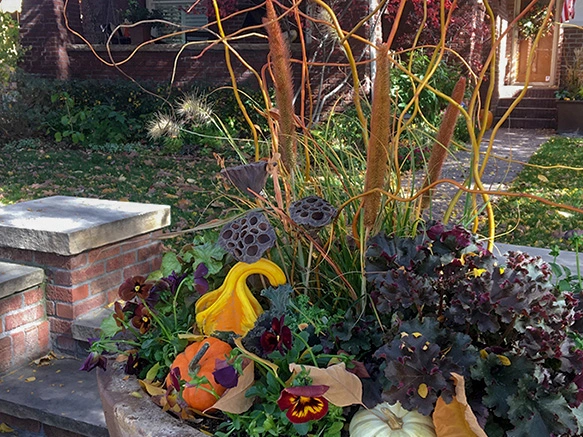 Fall landscape colors