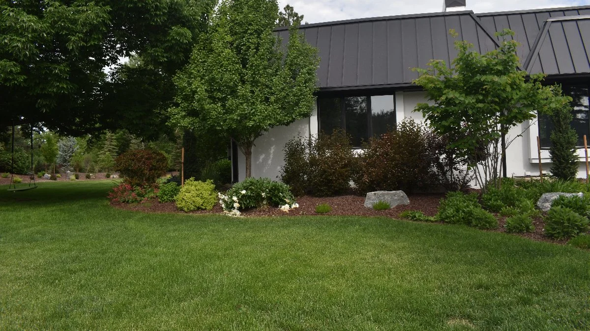 Shrub & Tree Insect Control - Insect control for trees and shrubs