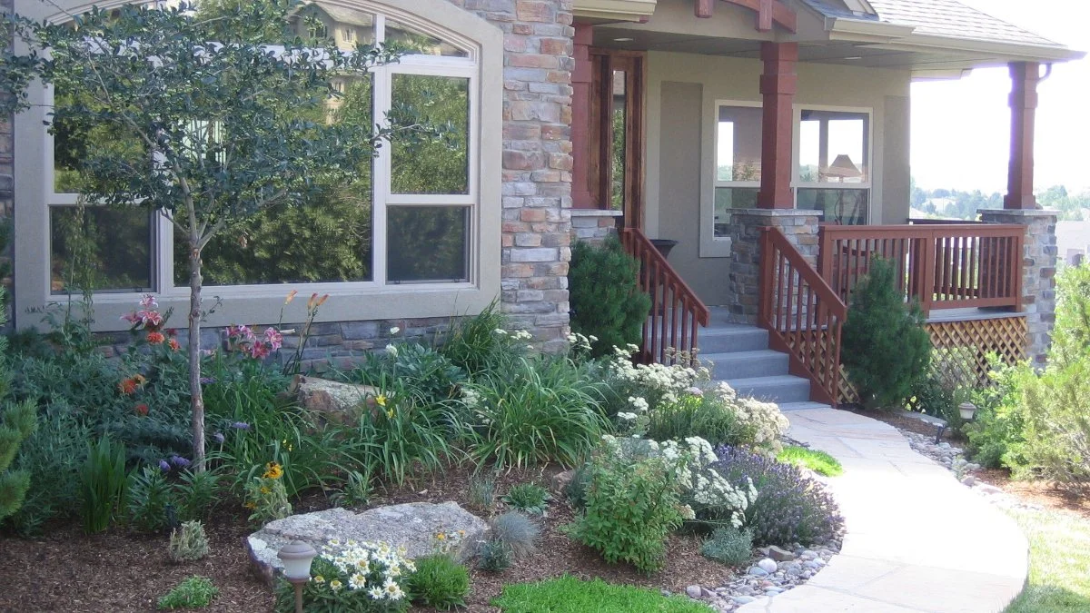 Professional tree trimming in Edgewater