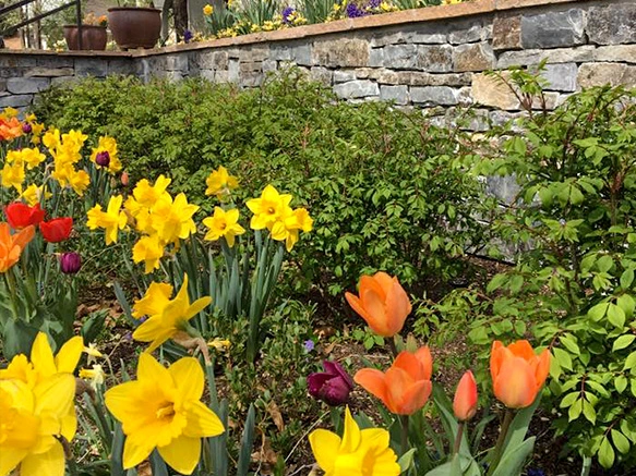 Spring landscape maintenance