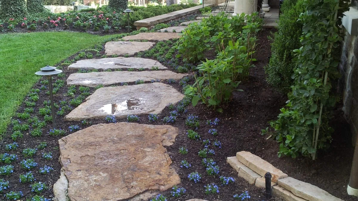 Residential & Commercial Landscape Maintenance services in Denver - professional landscaping and outdoor solutions