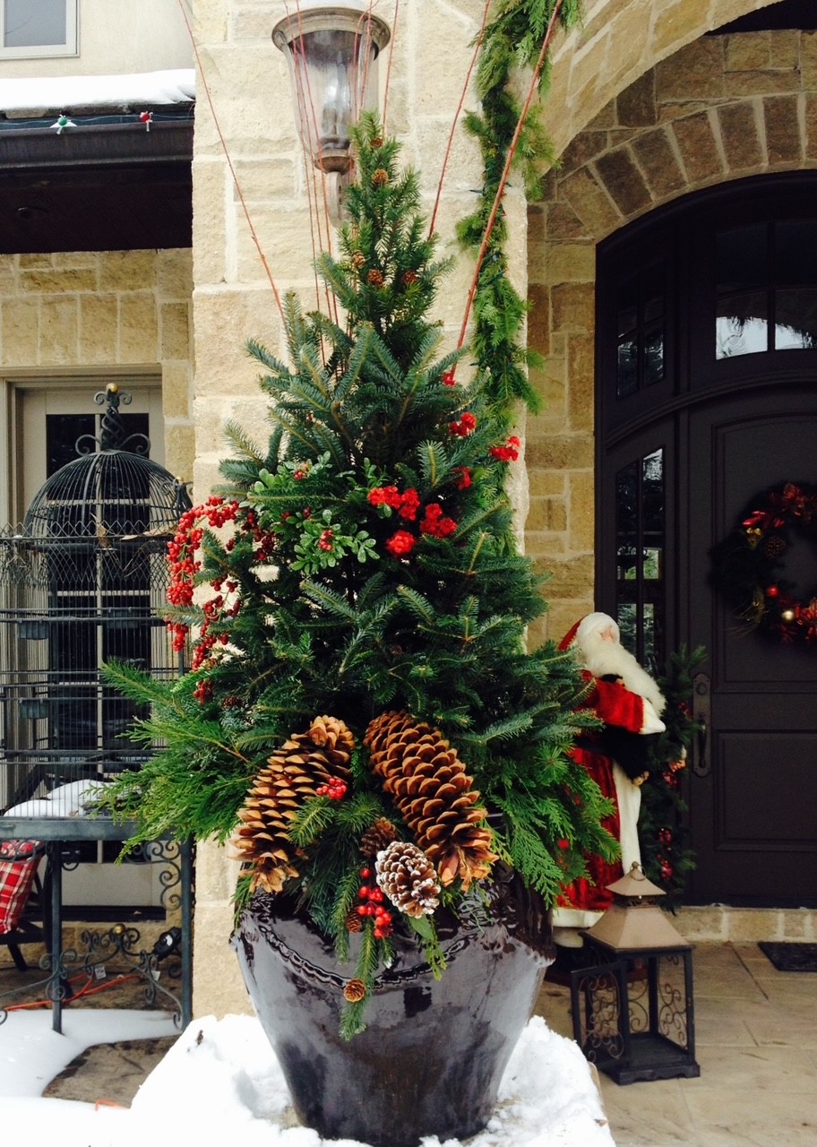 Holiday container planting