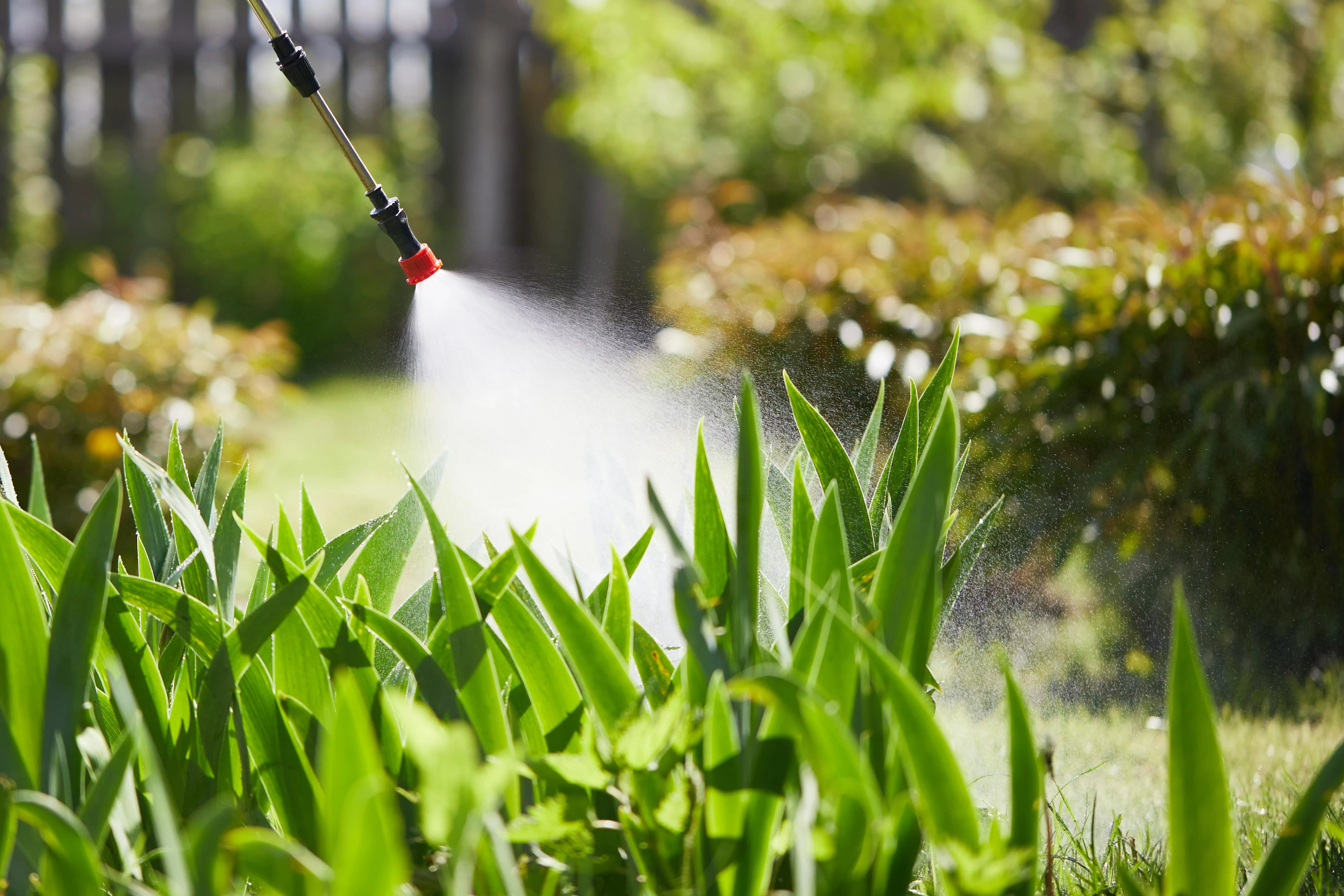 Perimeter Pest Control - Perimeter pest control services