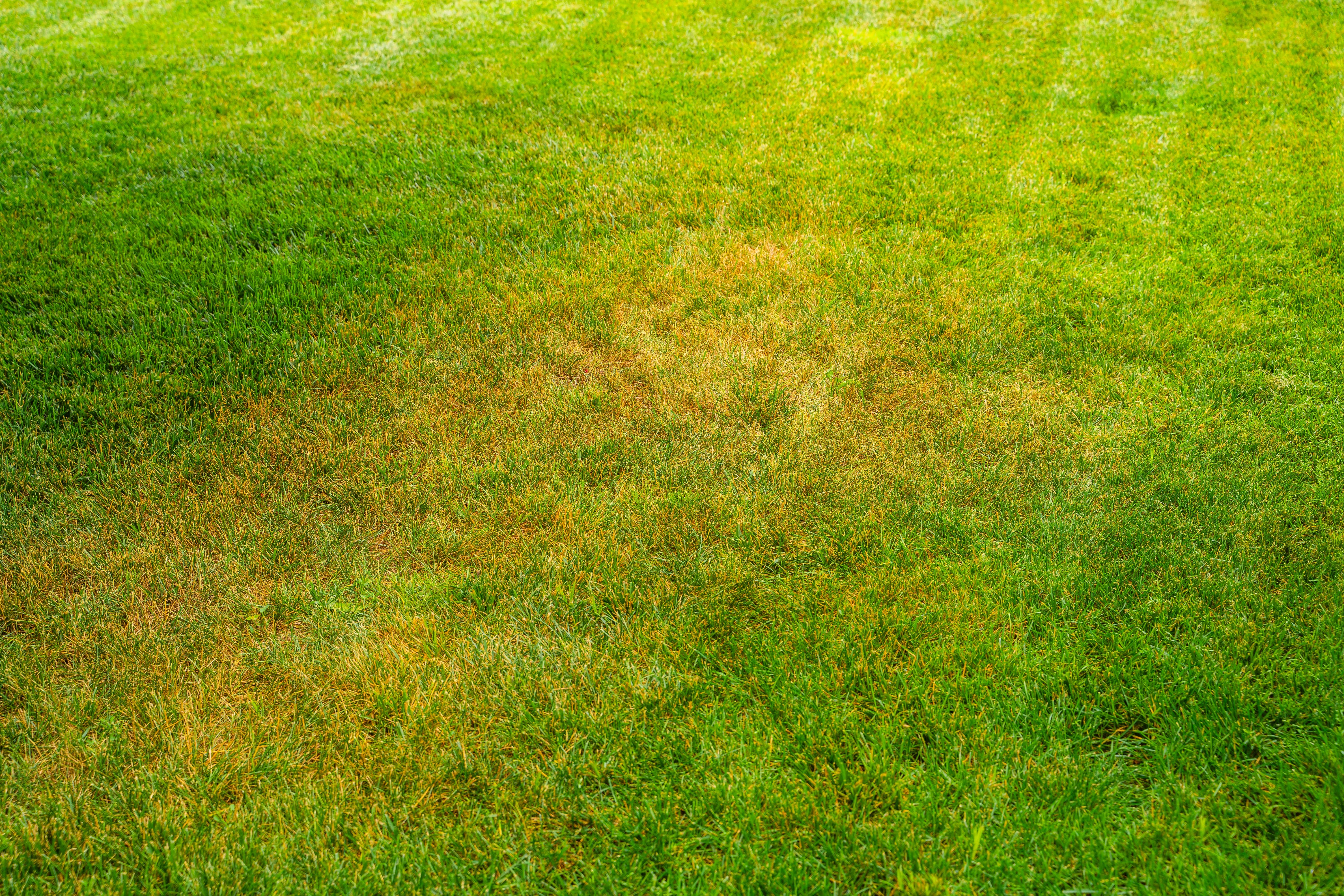 Sulfur Treatments - Sulfur treatments for soil pH adjustment