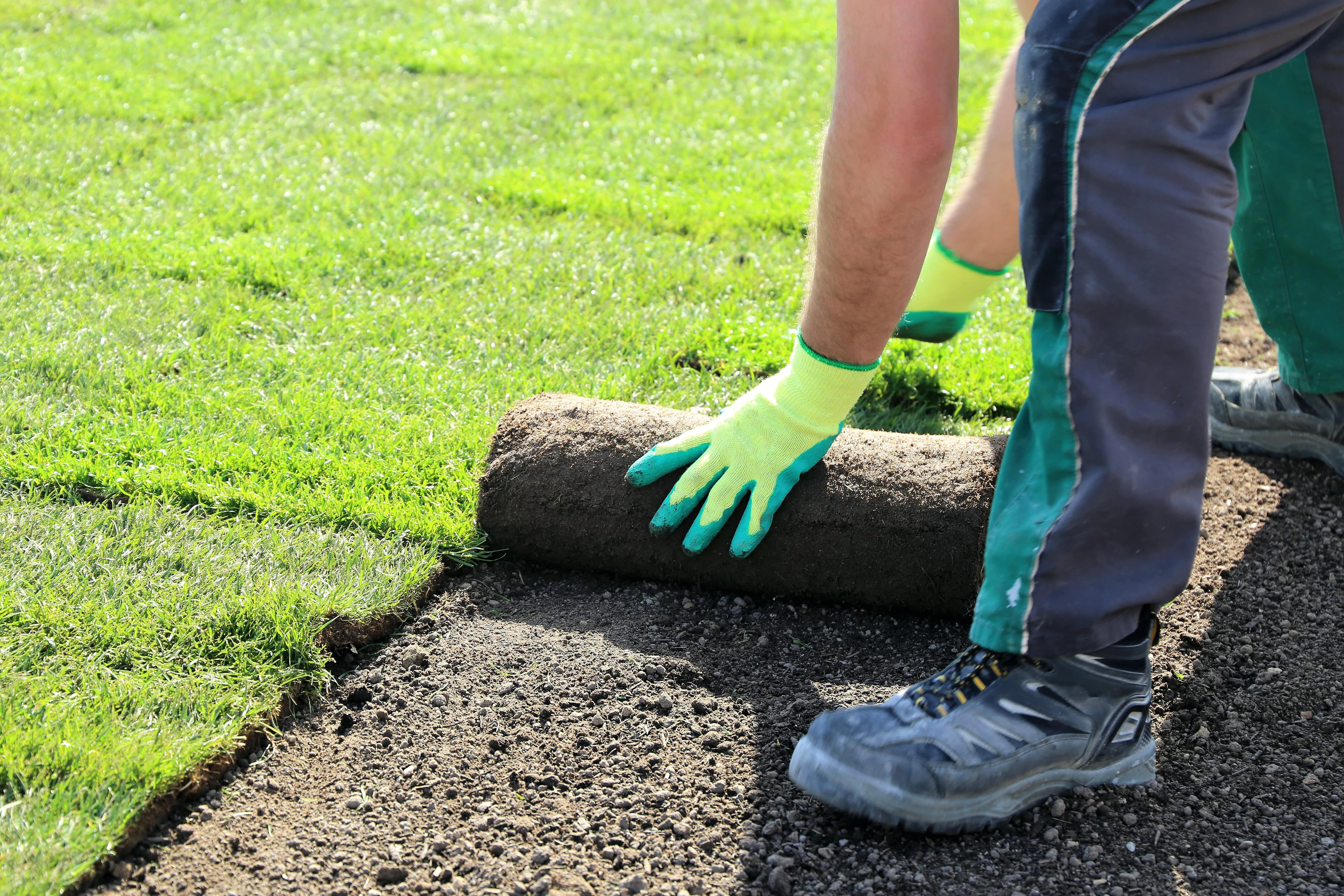 Sod Installation - Professional sod installation services