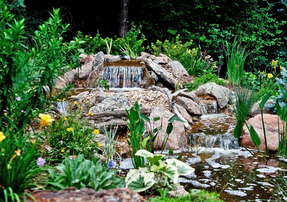 Natural water feature