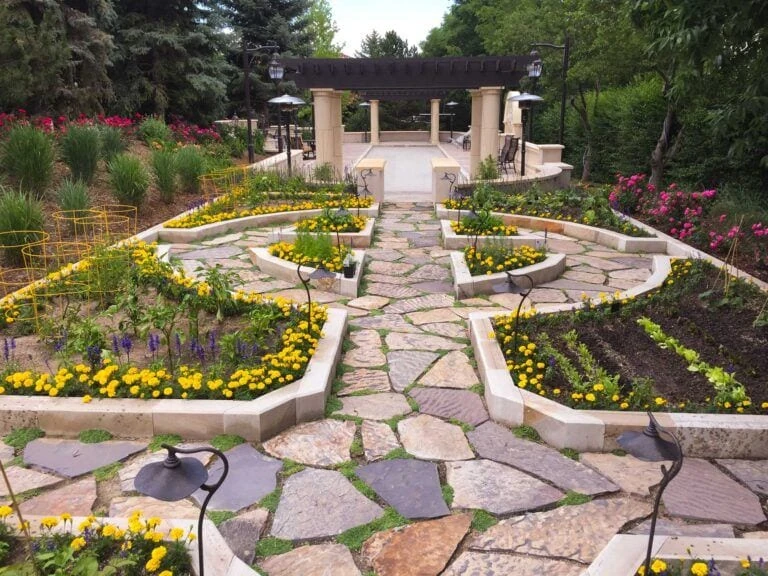 Tree-lined estate driveway with professionally maintained grounds