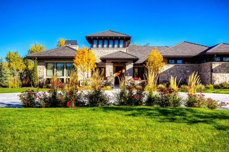 Tree and plant healthcare in Denver