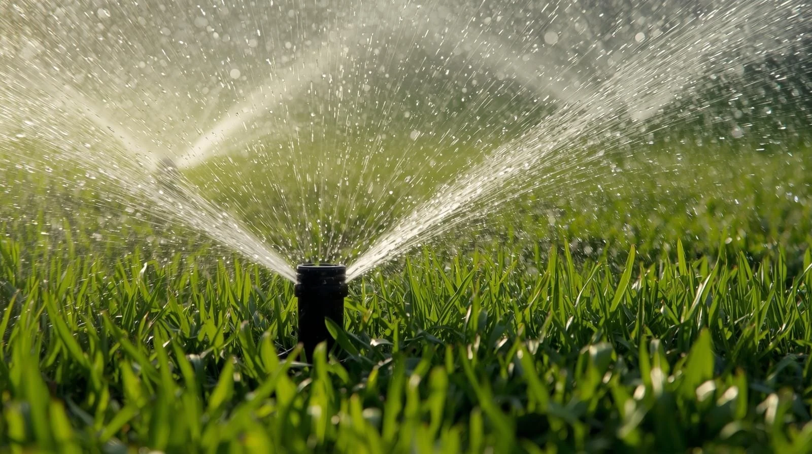 Late May Memorial Weekend Irrigation Checks on South-Facing Strips - Irrigation article about Memorial weekend is when south-facing lawn strips fail in photos while shady tur