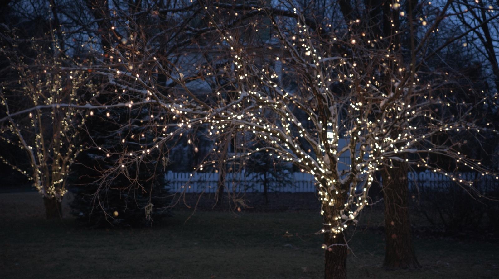 Holiday Lighting - Holiday lighting installation and removal